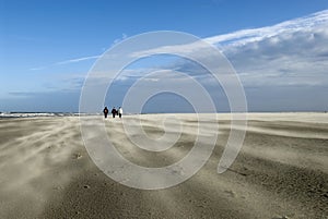 Stormy Schiermonnikoog beach photo