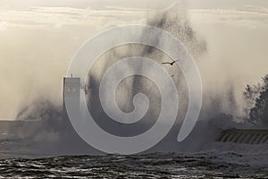Stormy sea wave splash and spray