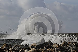 Stormy sea wavw splash