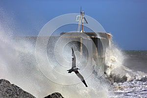 Stormy Seas at the Harbour, Hastings 1