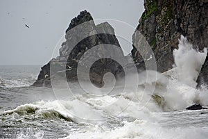 Stormy seascape. Waves and surf at the rocky Cape Uelen at the entrance to the Bering Strait