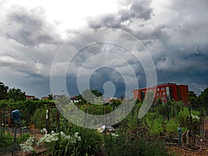Stormy Skies Above the Community Garden