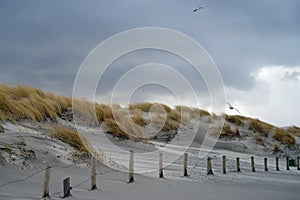 Stormy skies above the Northsea dunes