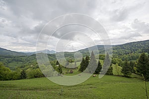 Stormy skies over a meadow