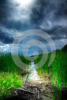 Stormy Sky Over Illuminated Wetlands