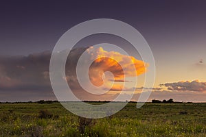 Stormy sky at sunset in the pampas field, La Pampa, photo