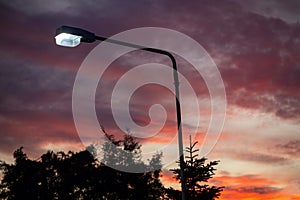 Stormy sky at sunset. Tree, illuminated streetlamp silhouette violet orange cloudy sky background