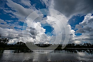 Stormy summer cloudscape over Long Pine Key in Everglades National Park.