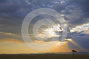 Stormy Sunset in the Mara