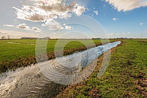 Stormy water surface in a polder ditch