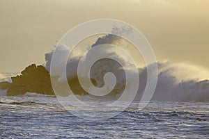 Stormy wave splash at sunset