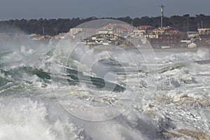 Stormy waves approaching the coast