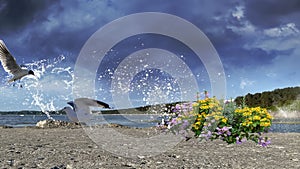 Stormy weather dramatic cloudy blue sky stone pier wildflowers at sea water splash on Baltic Beach Tallinn