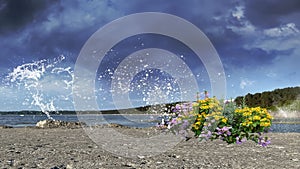 stormy weather dramatic cloudy blue sky stone pier wildflowers at sea water splash on Baltic Beach Tallinn