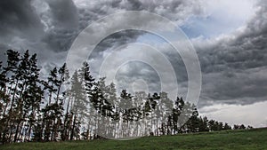 Stormy and windy day at the forest near village