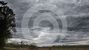 Stormy and windy day at the forest near village