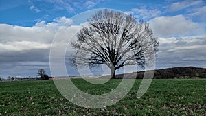 Stormy winter days over South Limburg Landscape, Netherlands