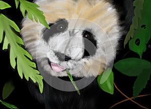 Story abut panda life and bamboo
