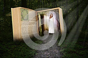 Storybook, Reading, Imagination, Woods, Nature photo
