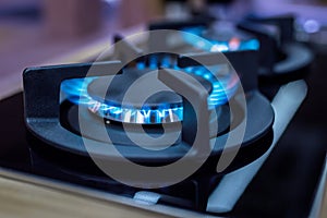 Stove. Cook stove. Modern kitchen stove with blue flames burning