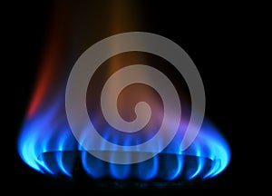 Stove gas fire flame