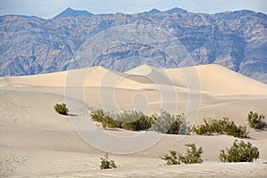 Stovepipe Wells sand dunes