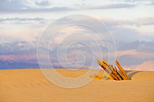 Stovepipe Wells sand dunes, Death Valley National Park, Californ