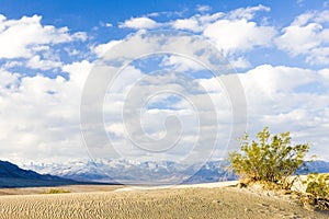 Stovepipe Wells sand dunes, Death Valley National Park, Californ