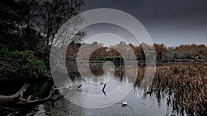 Stover County Park,  Newton Abbot,  Devon Uk