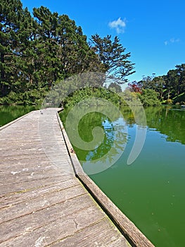 Stow Lake of Golden Gate Park in San Francisco