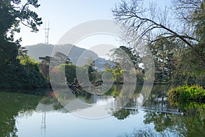 Stow Lake spring view in morning