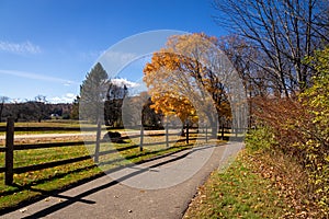 Stowe Vermont Recreation Park scenic at fall