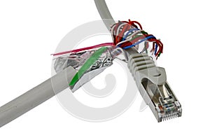 STP LAN CAT5e cable wires shaped like a hand are holding a cable with LAN RJ45 connector, white background.