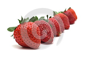 Straberry on white background