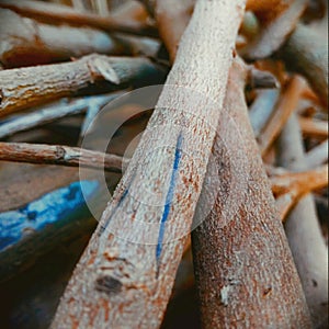 Strack of wooden branches