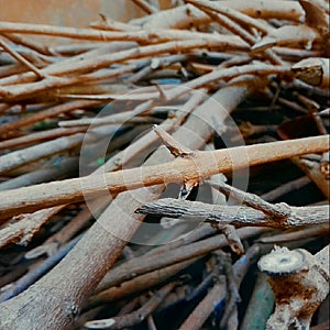 Strack of wooden branches