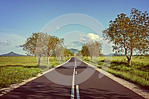 Straight asphalt road leading into the distance