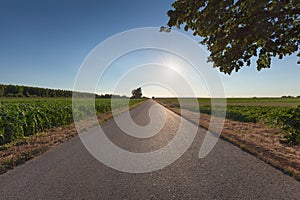 Straight asphalt road in plain at idyllic sunset