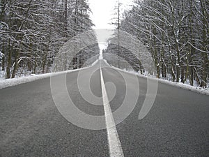 Straight asphalt road after snowfal among snow covered trees