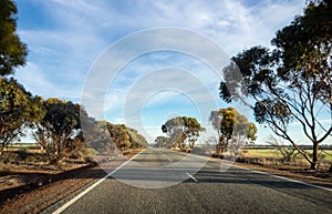 The straight asphalt road in Western Australia during the sunset with long shadows and slight motion blur effect showing the speed