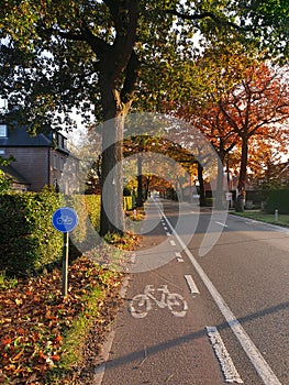 A straight bike path lengthening on a bright joyful autumn day photo