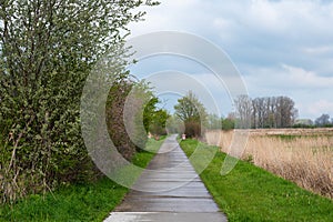 Straight cycling road through the agriculture fields of Tienen, Belgium photo