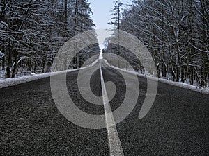 Straight dark asphalt road after snowfal among snow covered trees