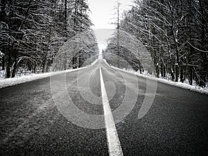 Straight dark asphalt road after snowfal among snow covered trees