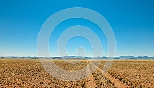 Straight desert dirt road track passes a grassland towards mountains.