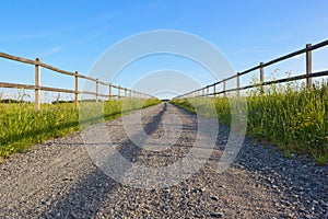 Straight dirt road