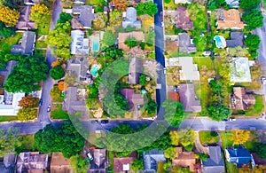 Straight Down Above Autumn Colors Aerial on Historic Homes in Austin , Texas photo