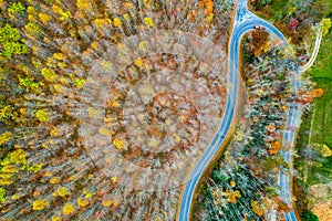 Sempre dritto giù da alberi fine da autunno montagna strade 