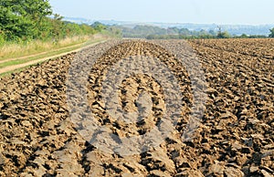 Straight furrows on a plowed or ploughed field photo