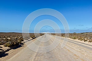 straight gravel road through the nullarbor dessert of Australia with sand hills in the distance, South Australia, Australia